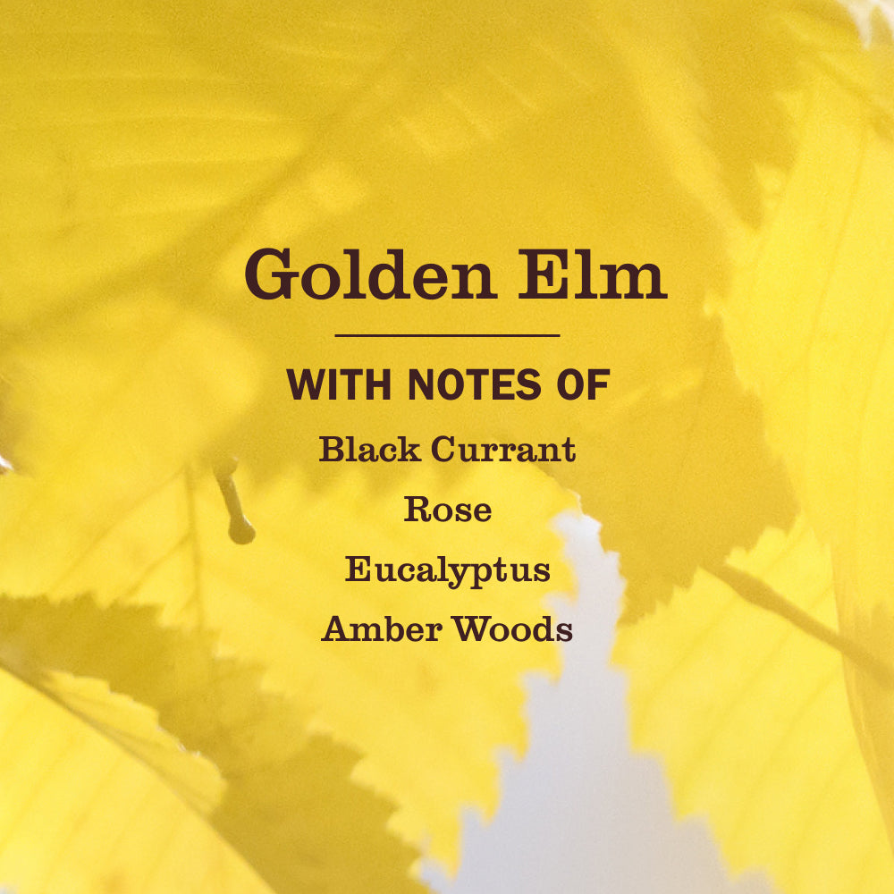 Golden Elm Liquid Hand Soap - Image 4