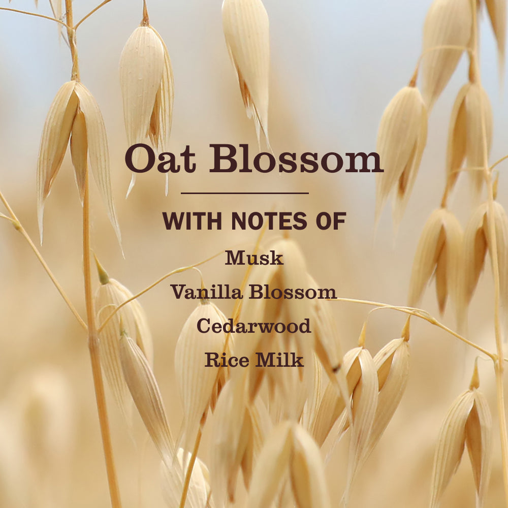 Oat Blossom Liquid Hand Soap Refill - Image 4
