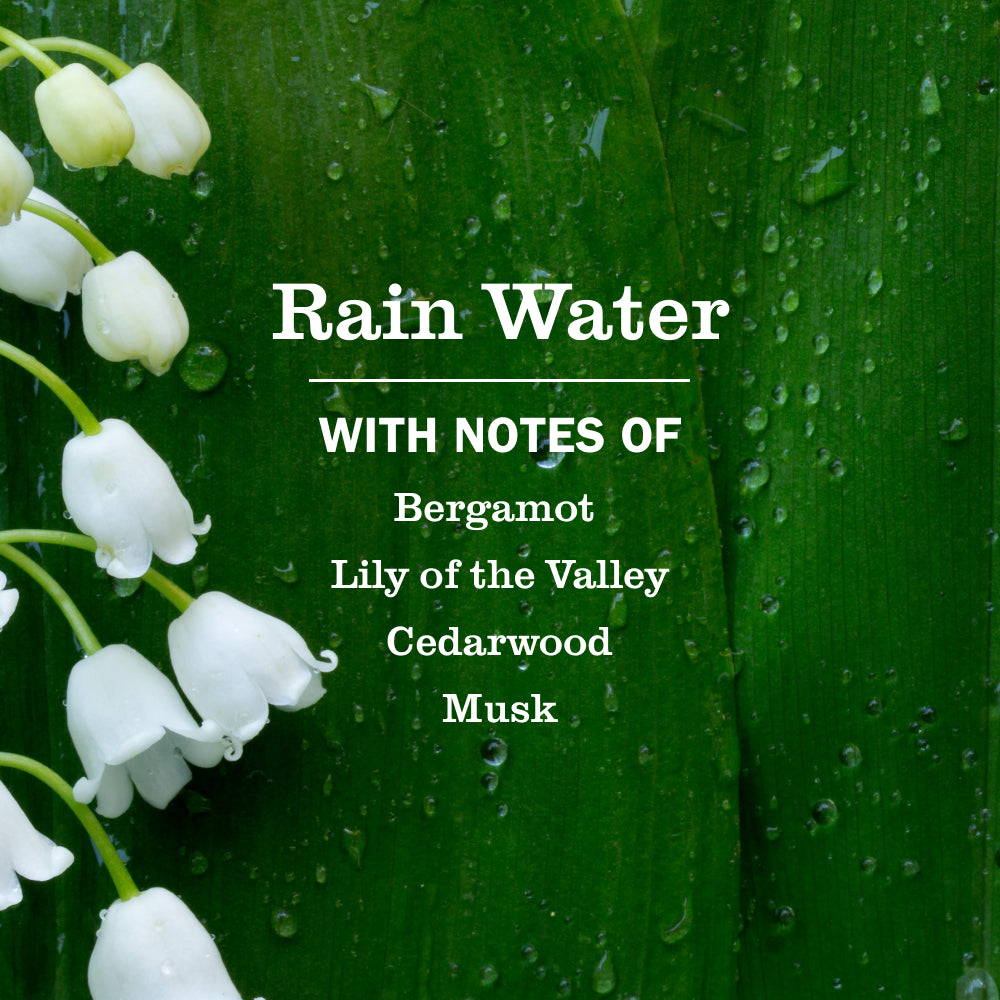 Rain Water Multi-Surface Everyday Cleaner - Image 4